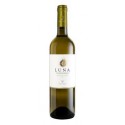 CHARDONNAY TERRE SICILIANE IGT VACCARO